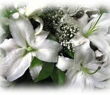 Схема вышивки «лилии»