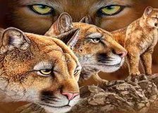 Схема вышивки «№204723»