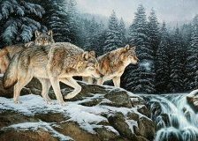 Схема вышивки «№204728»