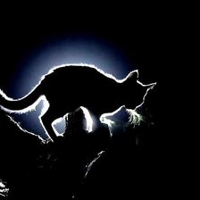 Схема вышивки «07»