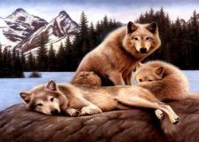 Схема вышивки «№204817»