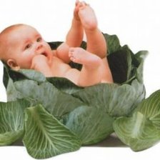 Схема вышивки «дитя в капусте»