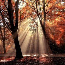 Схема вышивки «осень»