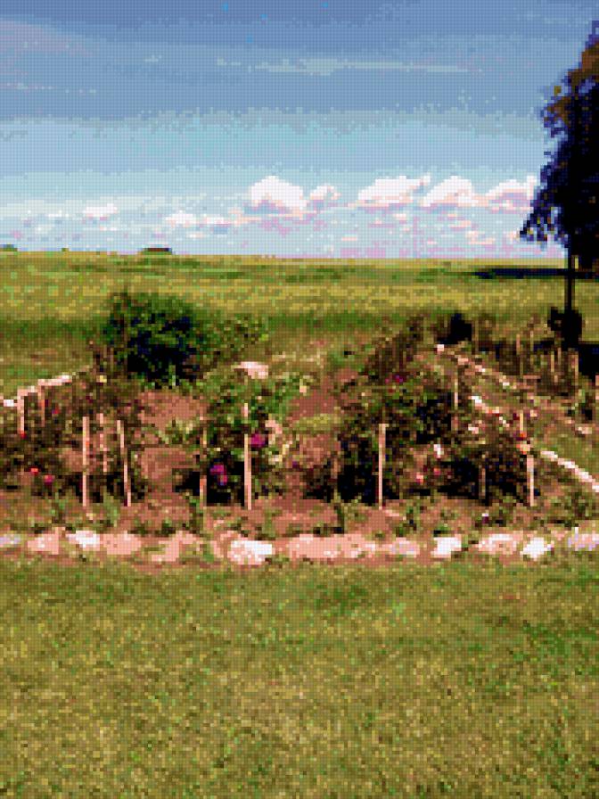 priroda - предпросмотр