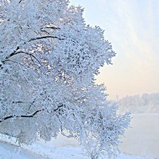 Схема вышивки «зима»