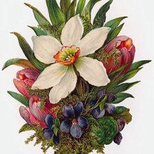 Схема вышивки «№205074»