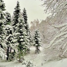 Схема вышивки «зима»