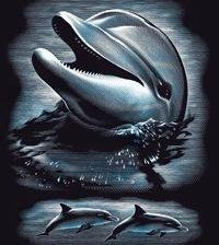 Схема вышивки «014»