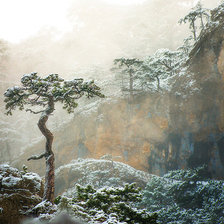 Схема вышивки «там на неведомых дорожках»