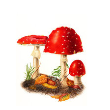 Схема вышивки «№205309»