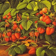 Схема вышивки «№205318»