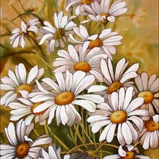 Схема вышивки «№205325»