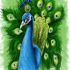 Схема вышивки «№205327»