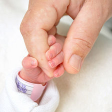 Схема вышивки «№205362»