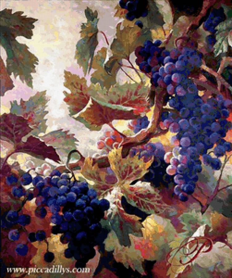 №205365 - предпросмотр