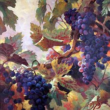 Схема вышивки «№205365»