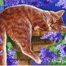 Схема вышивки «соня»