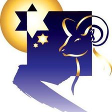 Схема вышивки «Знаки зодиака-козерог»