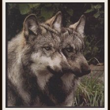 Схема вышивки «пара»