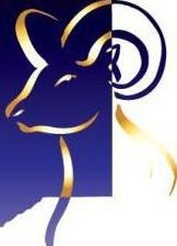 Схема вышивки «Знаки зодиака-козерог»