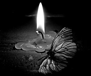 Свеча - оригинал