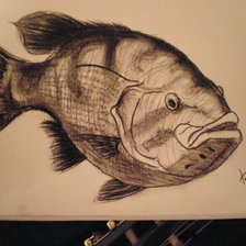 Схема вышивки «рыба»