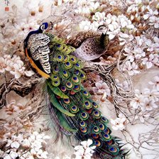 Схема вышивки «павлины»