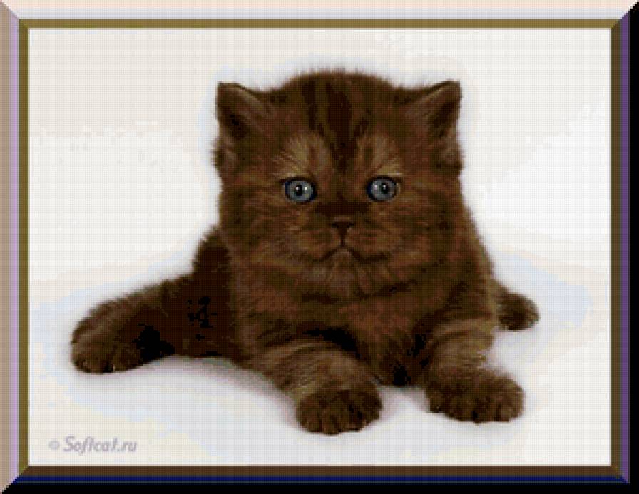 №205860 - предпросмотр