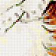 Предпросмотр схемы вышивки «№205864»