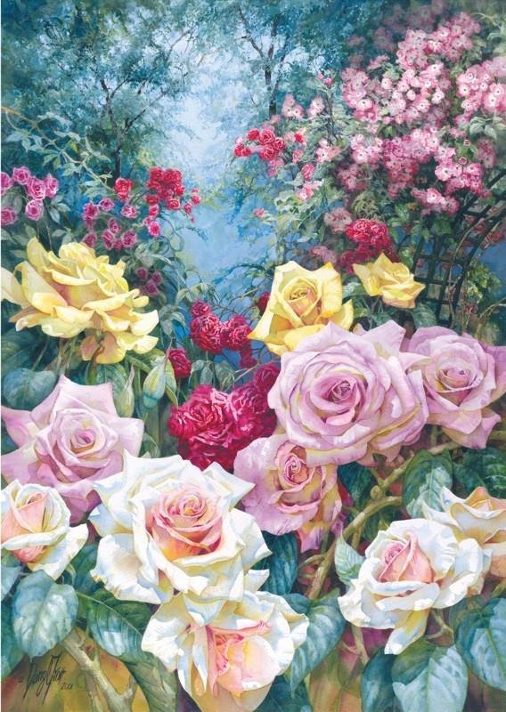 Розы - розы, цветы, природа - оригинал