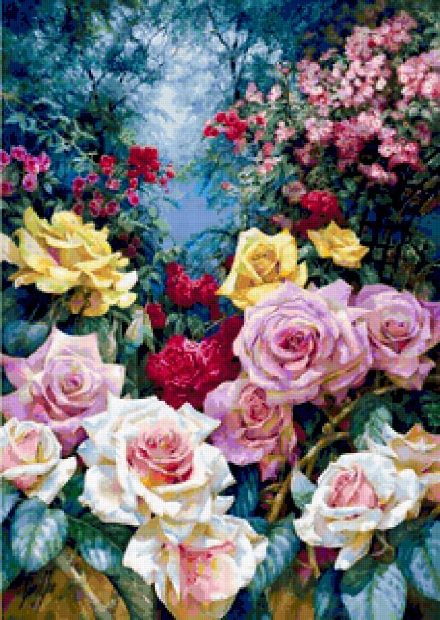 Розы - цветы, розы, природа - предпросмотр