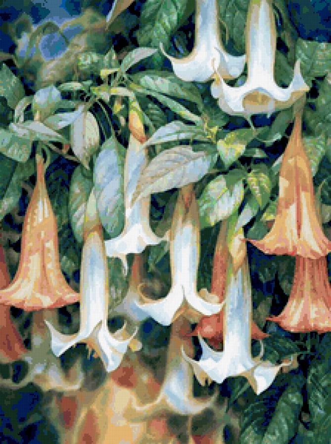 Цветы - природа, цветы - предпросмотр