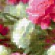 Предпросмотр схемы вышивки «Гвоздики» (№205967)