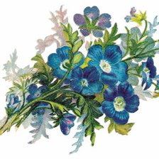 Схема вышивки «№205970»