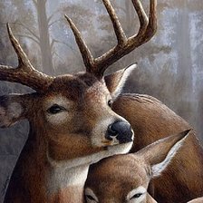 Схема вышивки «№206004»