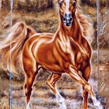 Схема вышивки «№206086»