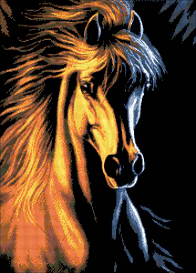 №206087 - кони, лошади - предпросмотр