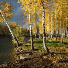 Схема вышивки «Золотая роща»