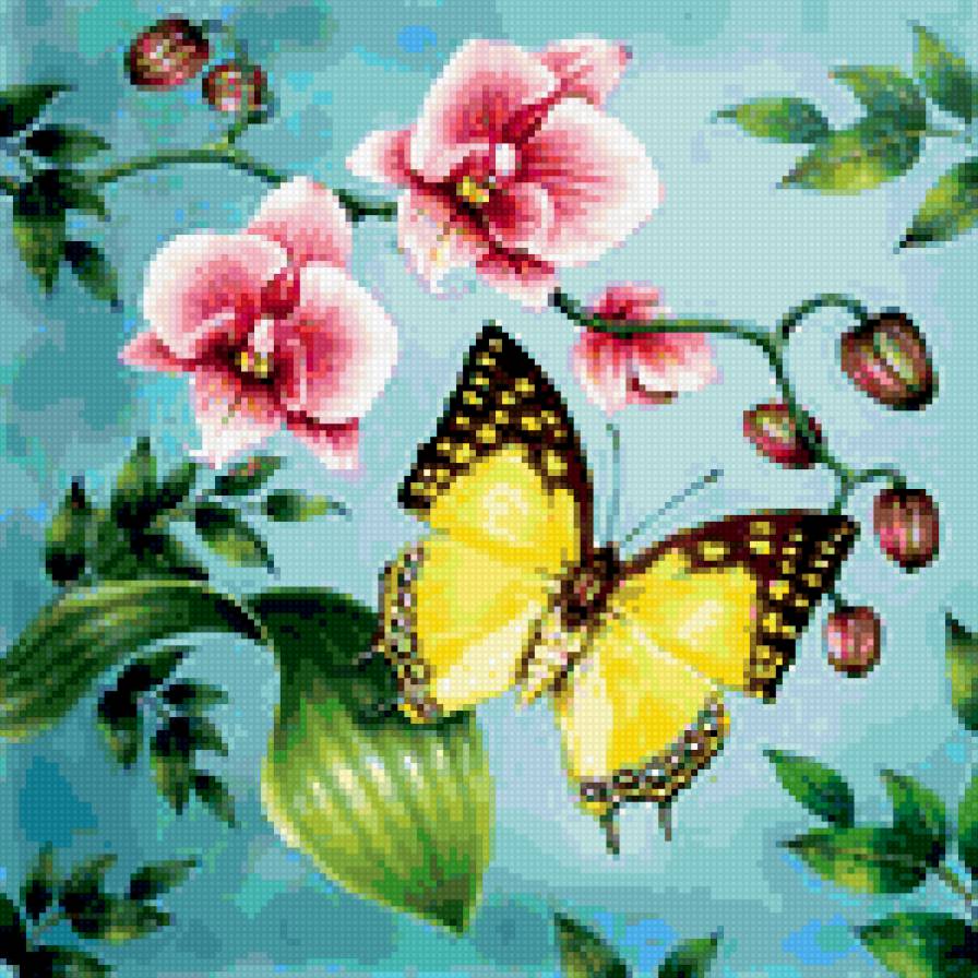 Бабочка с орхидеей - орхидея, бабочка, цветы - предпросмотр