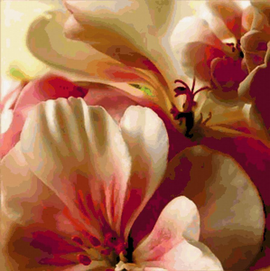 8787 - романтика, цветок, роза, розы, чувства, цветы, букет - предпросмотр