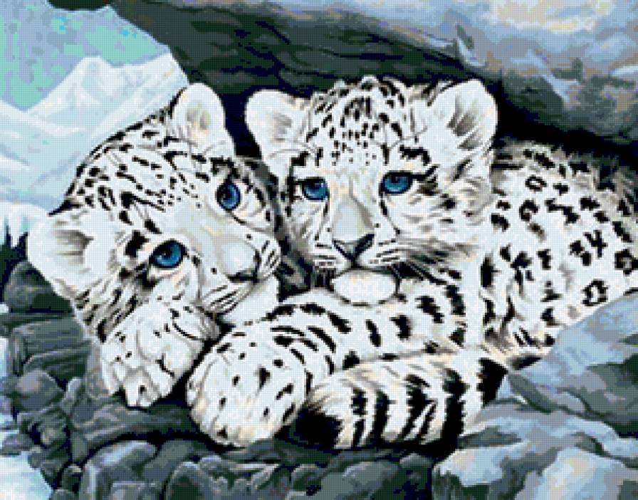 №206305 - предпросмотр