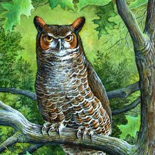 Схема вышивки «№206504»