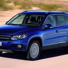 Схема вышивки «Тигуан»