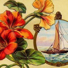 Схема вышивки «цветы»