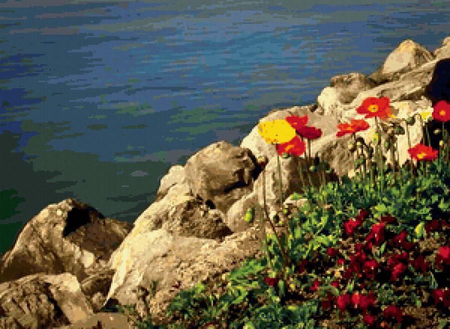 №206681 - берег, цветы, вода - предпросмотр