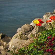 Схема вышивки «№206681»