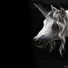 Схема вышивки «единорог»