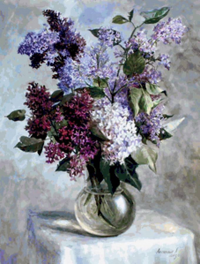 сирень - сирень, цветы, цветок - предпросмотр