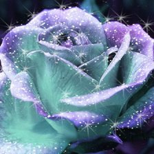 Схема вышивки «розы»