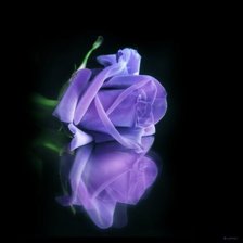 Схема вышивки «роза 3»